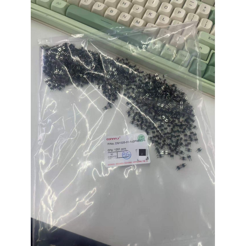 DS1025-01-1X2P8BV1-B