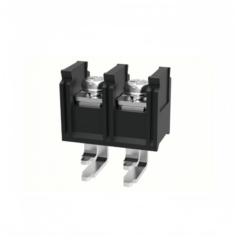DG88RT-02P