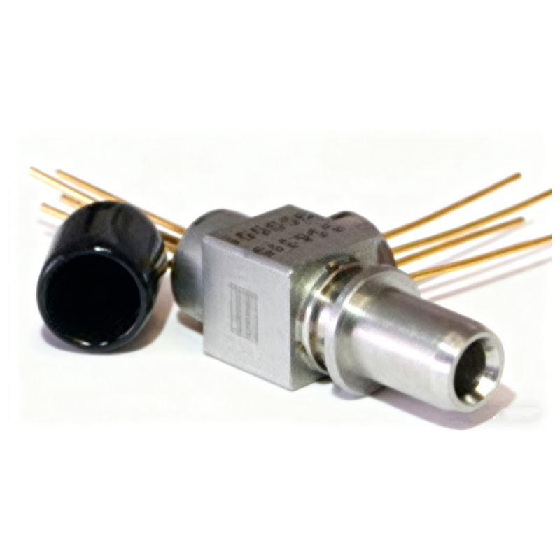 1310nm Discrete Mode (DM)